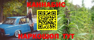 крисы Михайловка