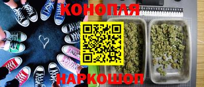 крисы Михайловка