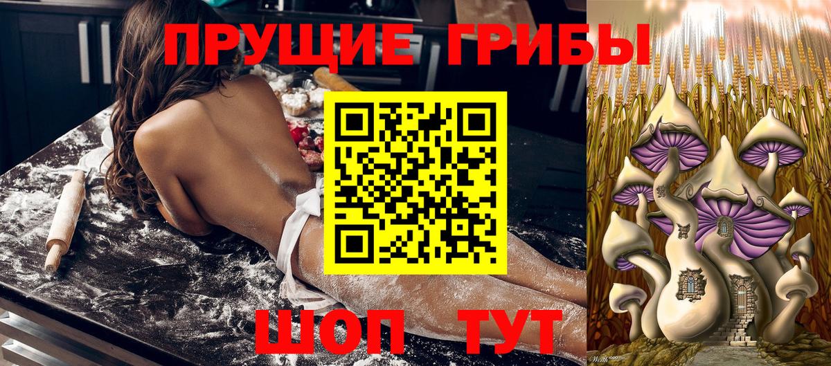 Галлюциногенные грибы Psilocybine cubensis  Вход с VPN  Сибай 