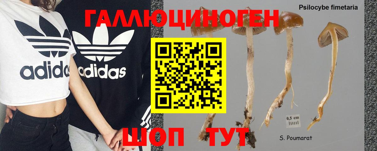 Галлюциногенные грибы MAGIC MUSHROOMS Сибай